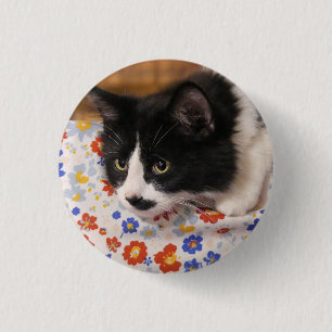 Tuxedo Cat Button