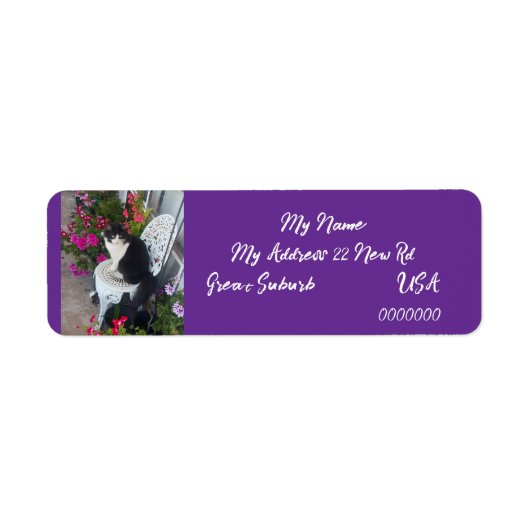 Tuxedo cat Cats Art Return Address Labels Purple (Vorne)