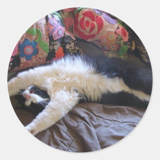 Tuxedo Cat Cute doing a Mexican Wave Postcard Runder Aufkleber (Vorderseite)