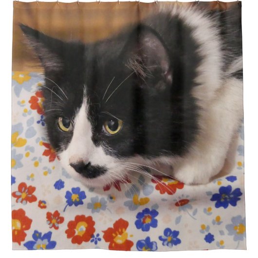 Tuxedo Cat Duschvorhang (Vorderseite)
