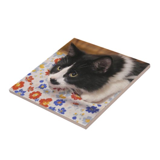 Tuxedo Cat Fliese (Seite)