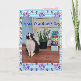Tuxedo Cat Funny Cute Cats Valentines Day Blue Karte