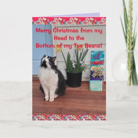 Tuxedo Cat Funny Frohe Weihnachts Toe Bean Card Karte (Vorderseite)