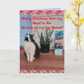 Tuxedo Cat Funny Frohe Weihnachts Toe Bean Card Karte (Gelbe Blume)