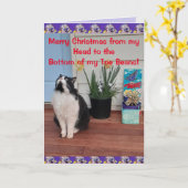 Tuxedo Cat Funny Frohe Weihnachts Toe Bean Card Karte (Gelbe Blume)