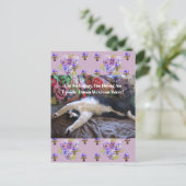 Tuxedo Cat Funny Niedlich, ein Mexikanisches Wave  Postkarte (Stehend Vorderseite)