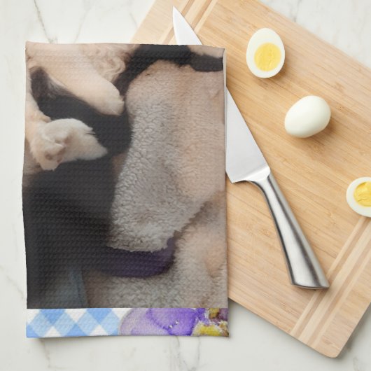 Tuxedo Cat Funny Zitat Schwarze und Weiße Katzen M Geschirrtuch (Viertel Falte)