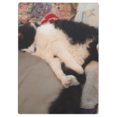 Tuxedo Cat Funny Zitat Schwarze und Weiße Katzen M Klemmbrett (Rückseite)