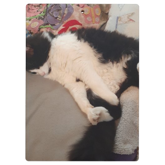 Tuxedo Cat Funny Zitat Schwarze und Weiße Katzen M Klemmbrett (Rückseite)