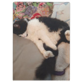 Tuxedo Cat Funny Zitat Schwarze und Weiße Katzen M Klemmbrett (Rückseite)