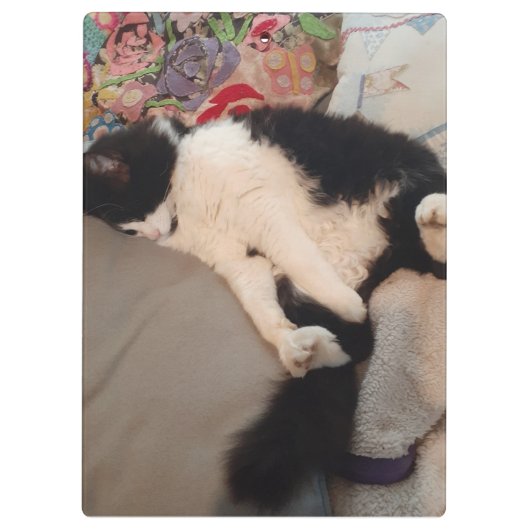 Tuxedo Cat Funny Zitat Schwarze und Weiße Katzen M Klemmbrett (Rückseite)