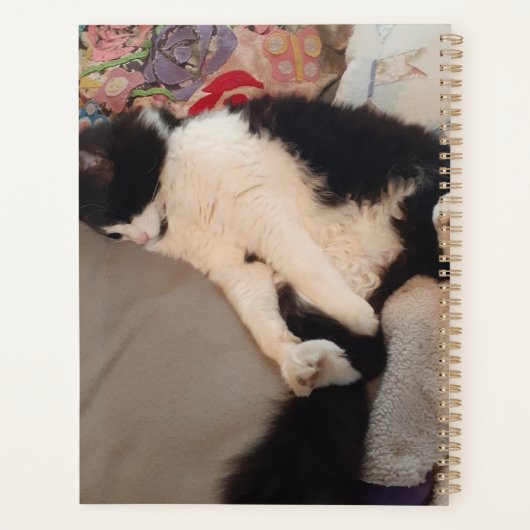 Tuxedo Cat Funny Zitat Schwarze und Weiße Katzen M Planer (Rückseite)