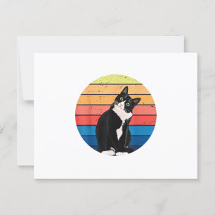 Tuxedo Cat Geschenk Retro Farben für Tierfreunde RSVP Karte