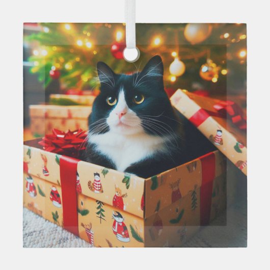 Tuxedo Cat Glass Ornament (Vorderseite)