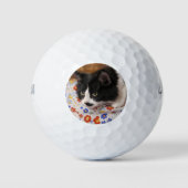 Tuxedo Cat Golfball (Vorderseite)