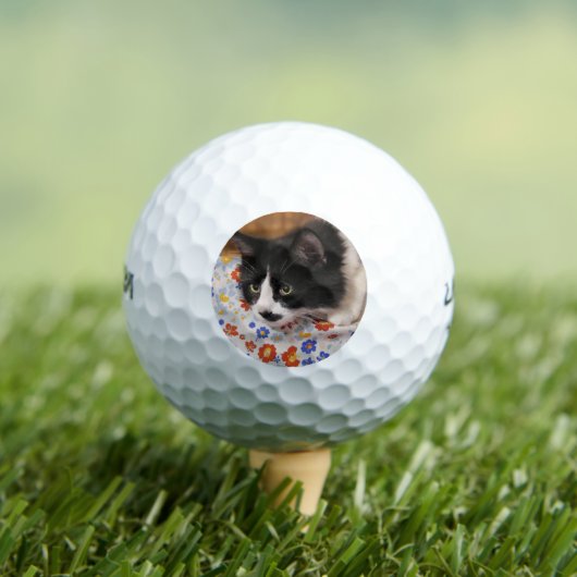 Tuxedo Cat Golfball (Insitu T-Shirt)