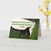 Tuxedo Cat Hiding Perfect Day Quote Card Karte (Gelbe Blume)