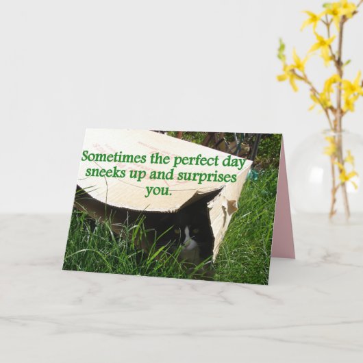 Tuxedo Cat Hiding Perfect Day Quote Card Karte (Gelbe Blume)