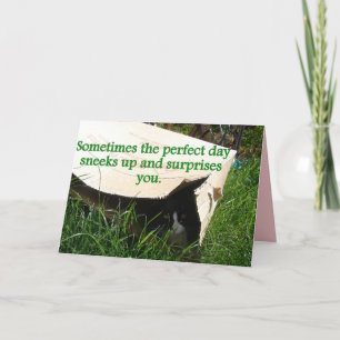 Tuxedo Cat Hiding Perfect Day Quote Card Karte