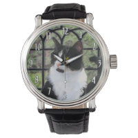 Tuxedo Cat in Window Painting Original Animal Art