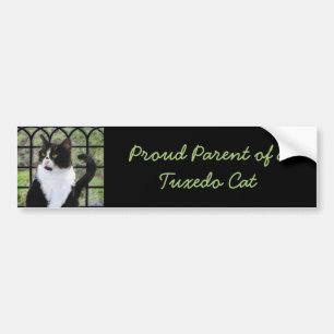 Tuxedo Cat in Window Painting Original Animal Art Autoaufkleber