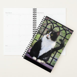 Tuxedo Cat in Window Painting Original Animal Art Planer