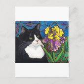 Tuxedo Cat Iris Blume Schmetterling Festglas Postkarte (Vorderseite)