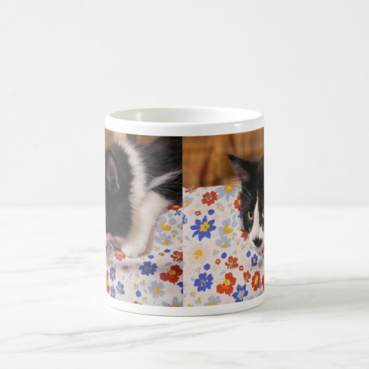 Tuxedo Cat Kaffeetasse (Mittel)
