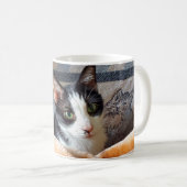 Tuxedo Cat Kaffeetasse (VorderseiteRechts)