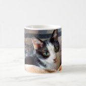 Tuxedo Cat Kaffeetasse (Mittel)