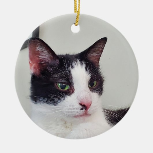 Tuxedo Cat Keramik Ornament (Vorne)