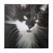 Tuxedo Cat Keramik Tile Fliese (Vorderseite)