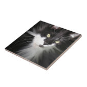 Tuxedo Cat Keramik Tile Fliese (Seite)