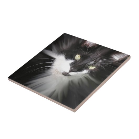Tuxedo Cat Keramik Tile Fliese (Seite)