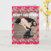 Tuxedo Cat Liebe You Toboans Weihnachtskarte Karte (Gelbe Blume)