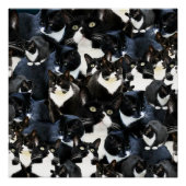 Tuxedo Cat Madness Poster (Vorderseite)