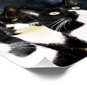 Tuxedo Cat Madness Poster (Ecke)