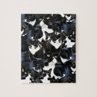 Tuxedo Cat Madness Puzzle