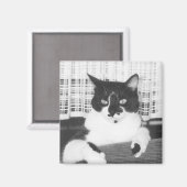 Tuxedo Cat Magnet (Vorderseite/Rückseite)