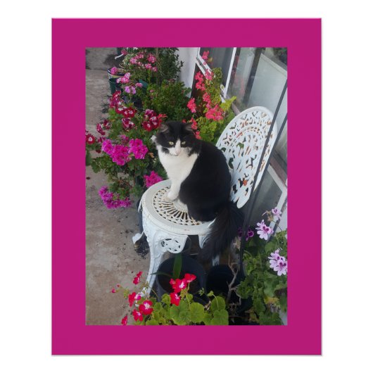 Tuxedo Cat Maroon Dark Pink Cats and Flowers Poster (Vorderseite)
