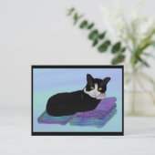 Tuxedo Cat Nickerchen Postkarten (Stehend Vorderseite)