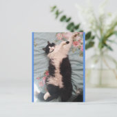 Tuxedo Cat Niedlich Doing a Happy Dance Postkarte (Stehend Vorderseite)
