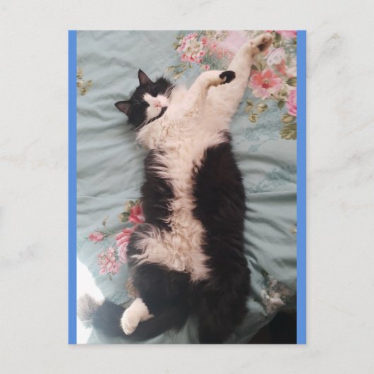 Tuxedo Cat Niedlich Doing a Happy Dance Postkarte (Vorderseite)