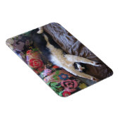 Tuxedo Cat Niedlich eine mexikanische Wave Postcar Magnet (Rechte Seite)