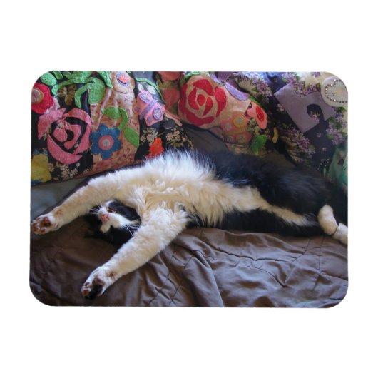 Tuxedo Cat Niedlich eine mexikanische Wave Postcar Magnet (Horizontal)