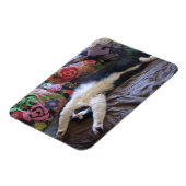 Tuxedo Cat Niedlich eine mexikanische Wave Postcar Magnet (Linke Seite)