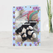Tuxedo Cat Niedlich Funny Brother Cats Card Karte (Vorderseite)