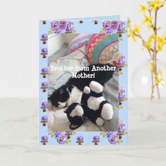 Tuxedo Cat Niedlich Funny Brother Cats Card Karte (Gelbe Blume)