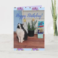 Tuxedo Cat Niedlich Funny Floral Happy Geburtstags