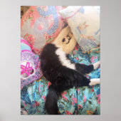 Tuxedo Cat Niedlich Funny Shabby Schlafkatzen Post Poster (Vorne)
